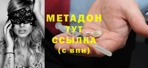 шишки Арсеньев