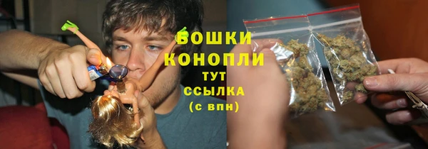 шишки Арсеньев