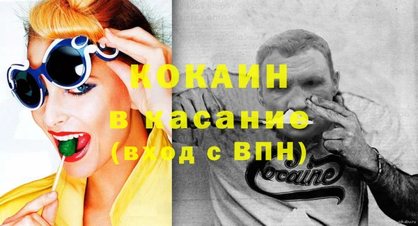 шишки Арсеньев