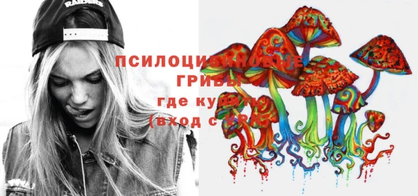 шишки Арсеньев