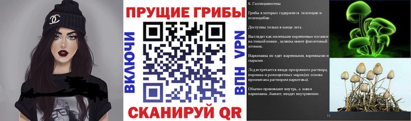 Галлюциногенные грибы GOLDEN TEACHER Нововоронеж